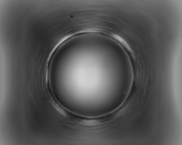X0000086021276200703301024