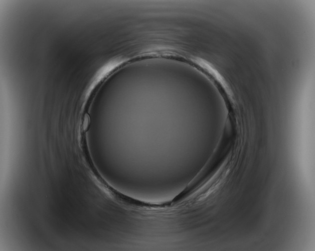 X0000086021277200703301024