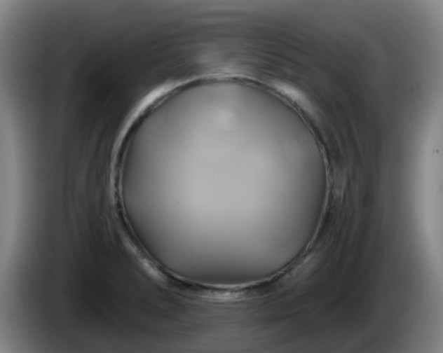 X0000086021278200703301024