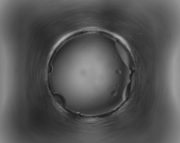 X0000086021279200703301024