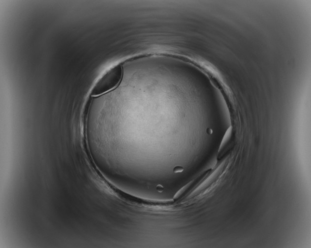 X0000086021280200703301024