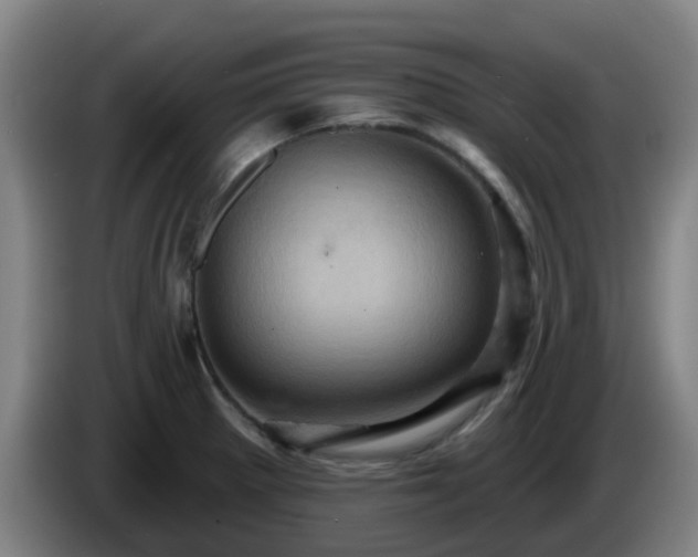 X0000086021281200703301024
