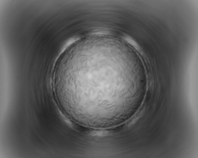 X0000086021282200703301024