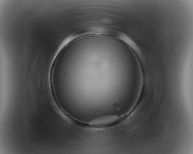 X0000086021283200703301024
