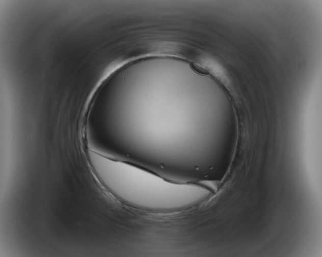 X0000086021284200703301024