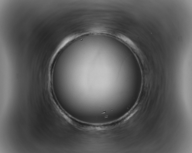 X0000086021286200703301024