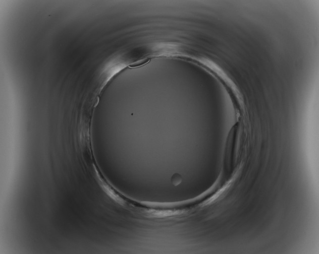X0000086021289200703301024