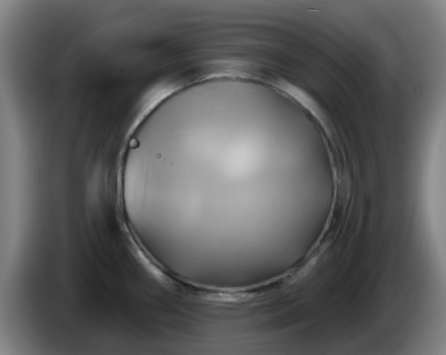X0000086021290200703301024