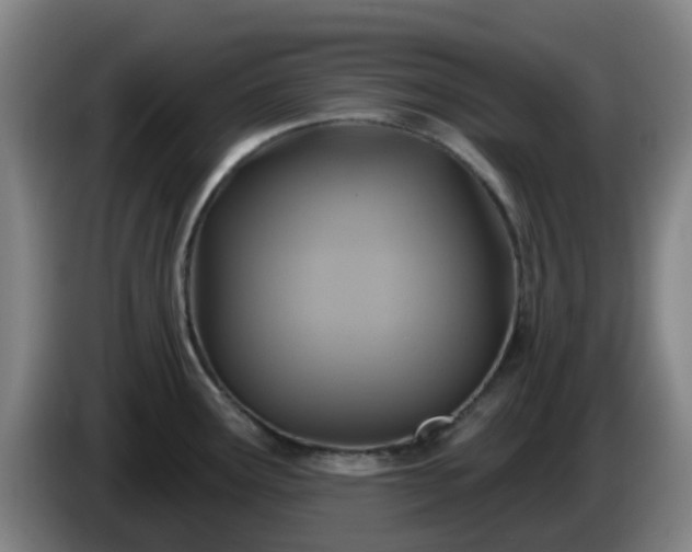 X0000086021291200703301024
