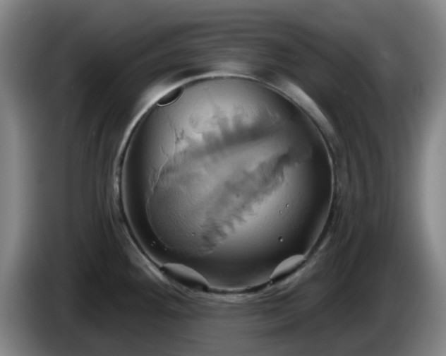 X0000086021292200703301024