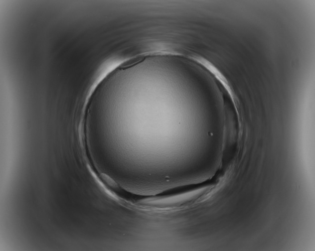 X0000086021293200703301024
