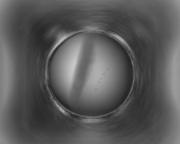 X0000086021294200703301024