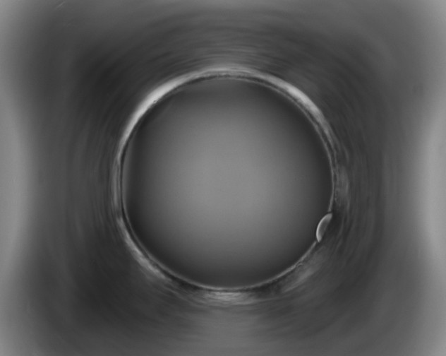 X0000086021295200703301024