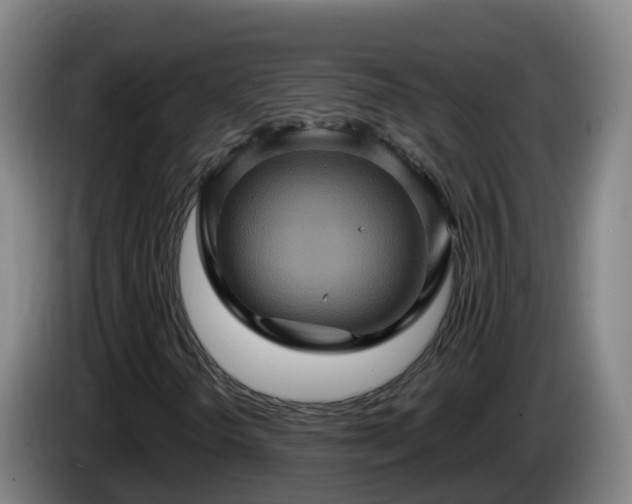 X0000086021298200703301023