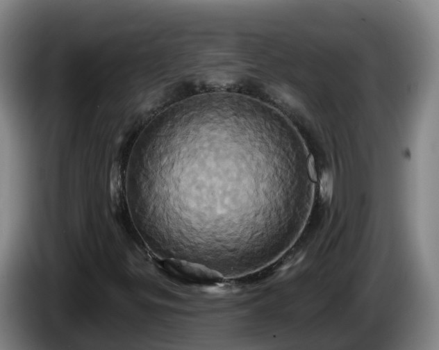 X0000086021299200703301023