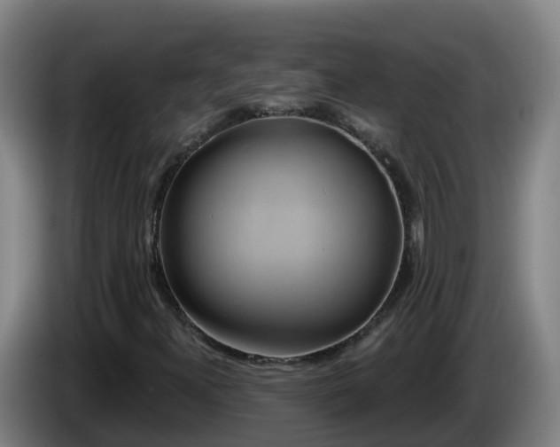X0000086021300200703301023