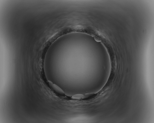 X0000086021301200703301023
