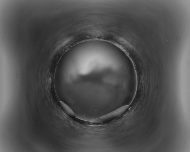 X0000086021302200703301023