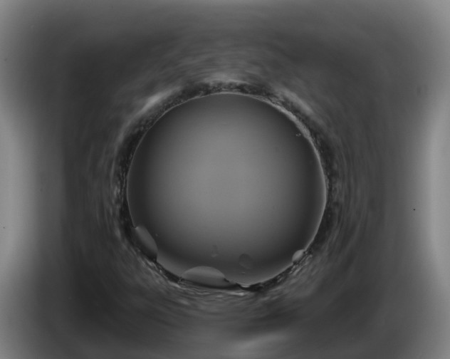 X0000086021303200703301023