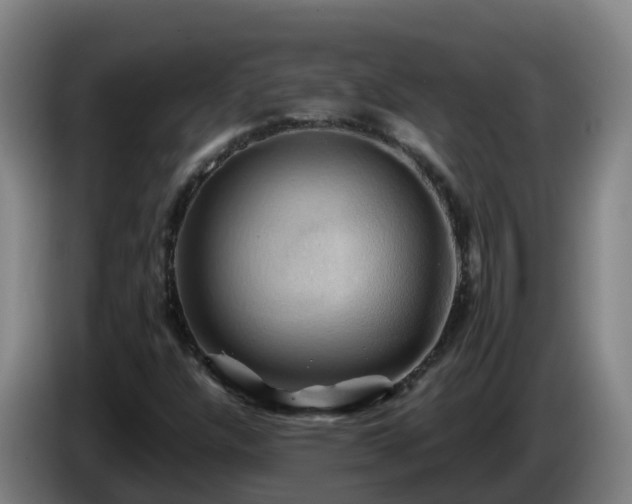 X0000086021304200703301023