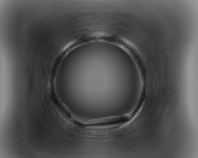 X0000086021305200703301023