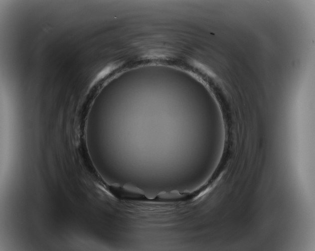 X0000086021306200703301023