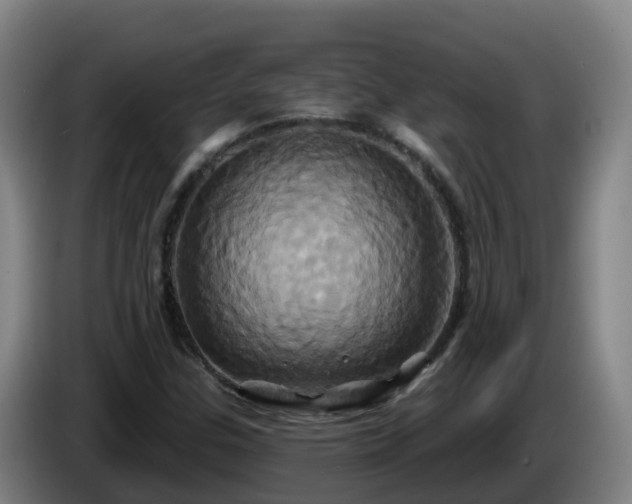 X0000086021307200703301023