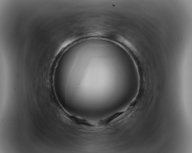 X0000086021308200703301023