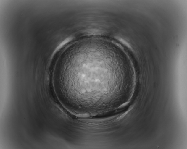 X0000086021309200703301024