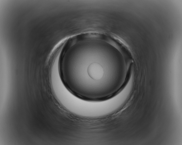 X0000086021310200703301024