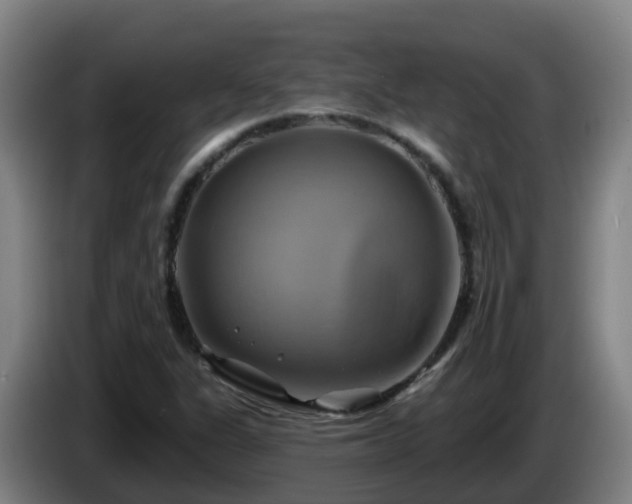 X0000086021311200703301024