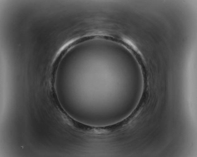 X0000086021312200703301024