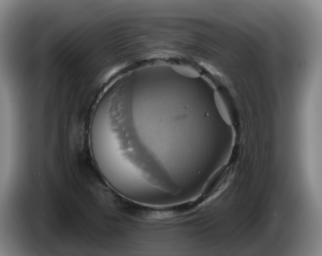 X0000086021313200703301024