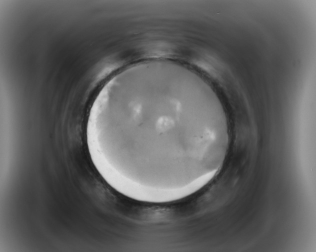 X0000086021314200703301024