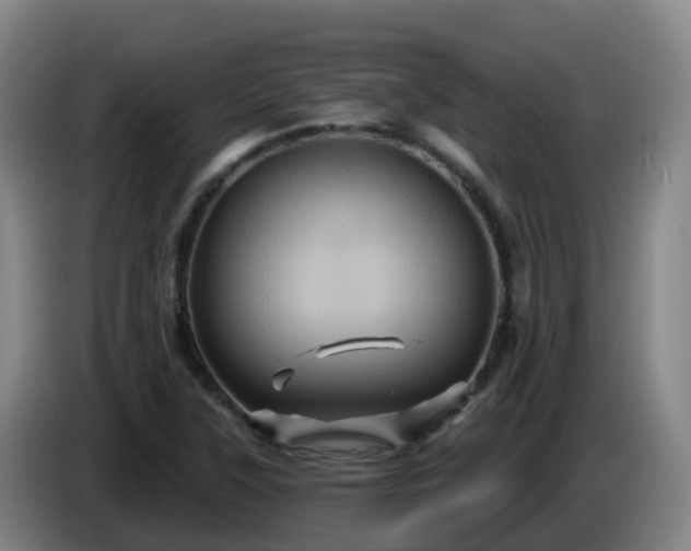 X0000086021315200703301024