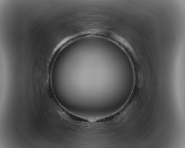 X0000086021316200703301024