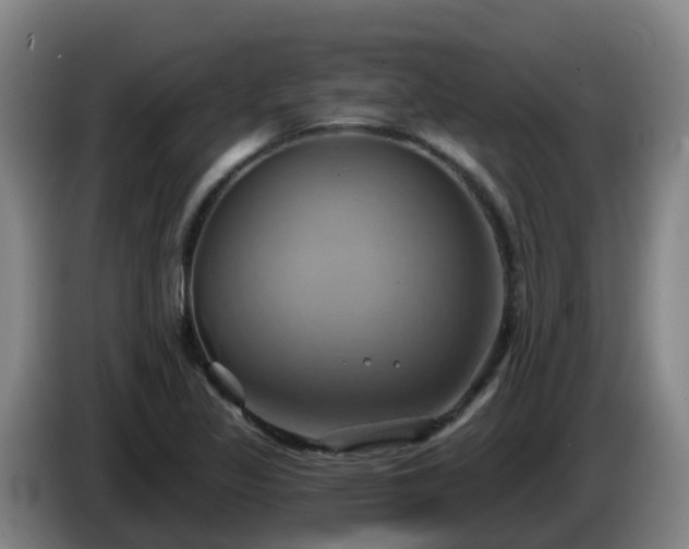 X0000086021317200703301024