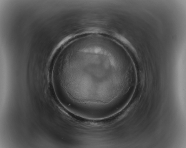 X0000086021318200703301024