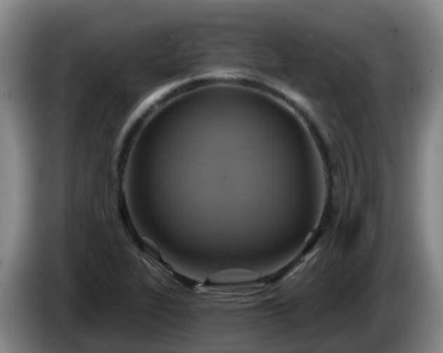 X0000086021319200703301024