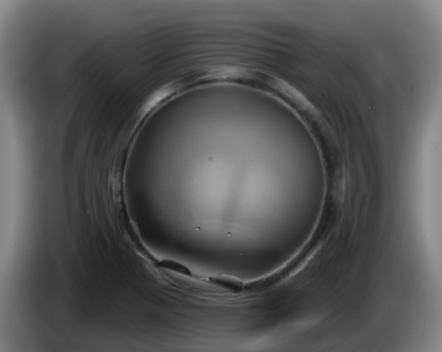 X0000086021321200703301024