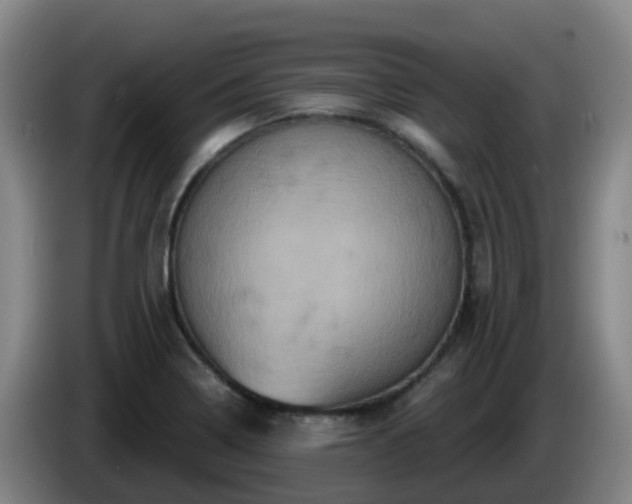 X0000086021322200703301024