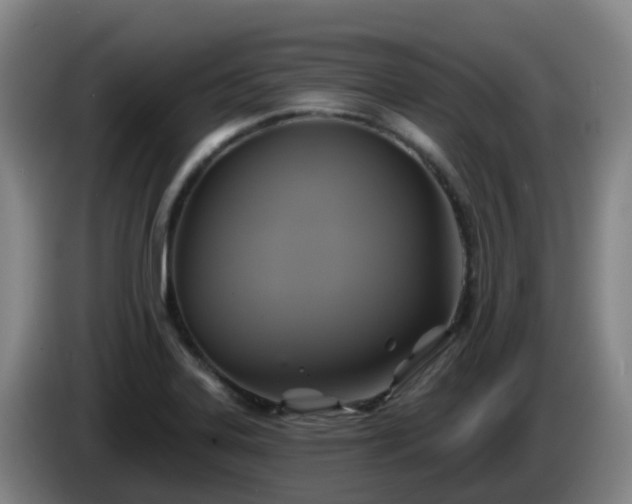 X0000086021323200703301024