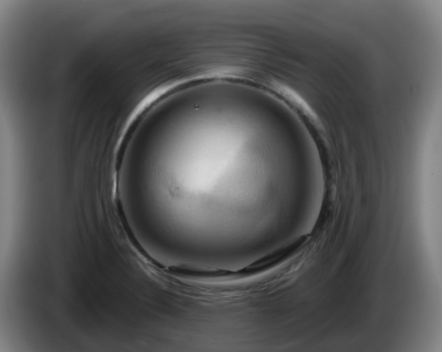 X0000086021324200703301024