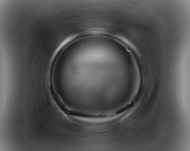 X0000086021325200703301024