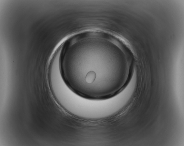 X0000086021326200703301024