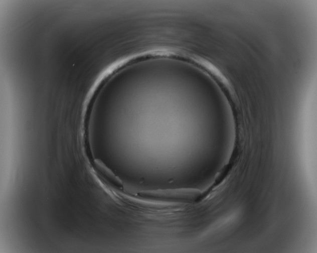 X0000086021327200703301024