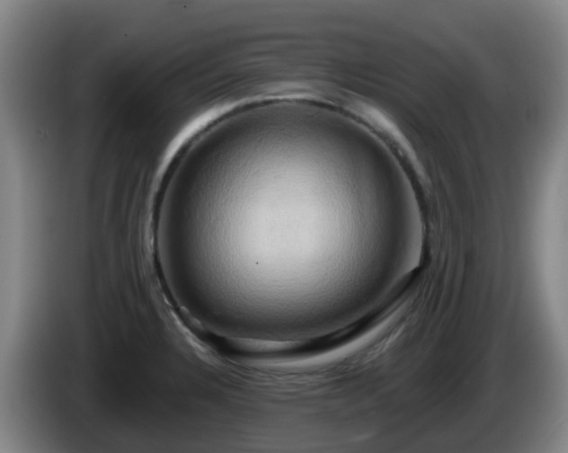 X0000086021328200703301024