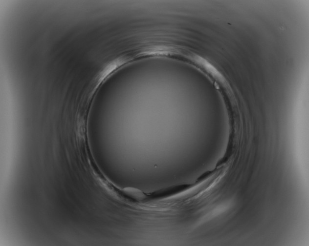 X0000086021329200703301024