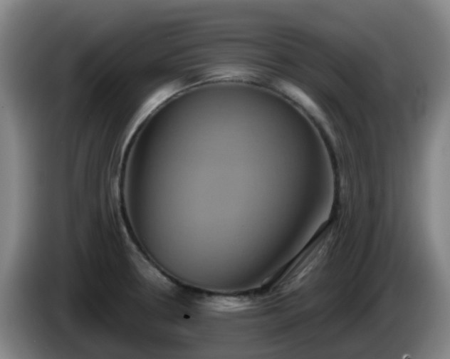 X0000086021330200703301024