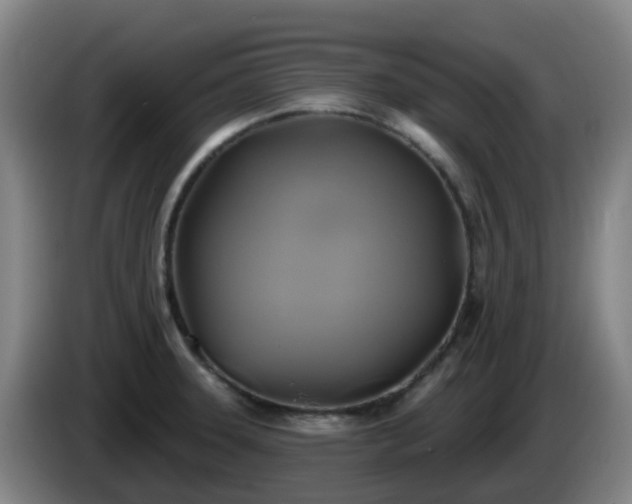 X0000086021331200703301024